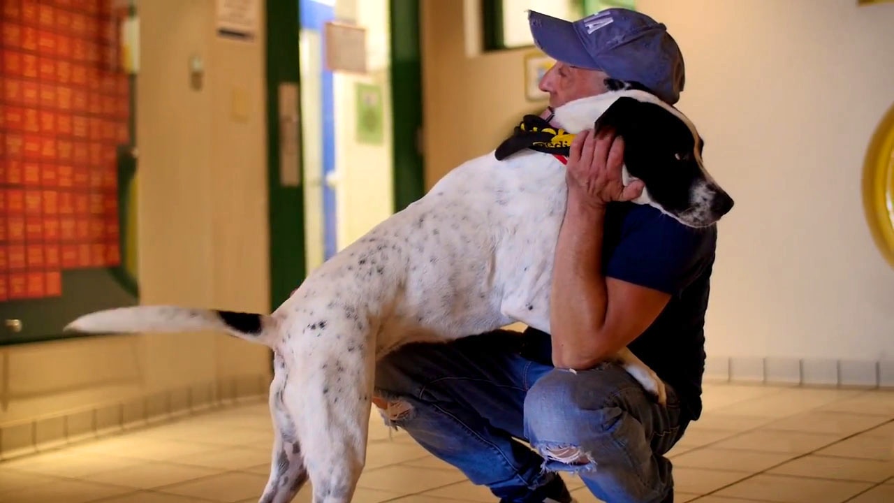 Nashville Humane Society